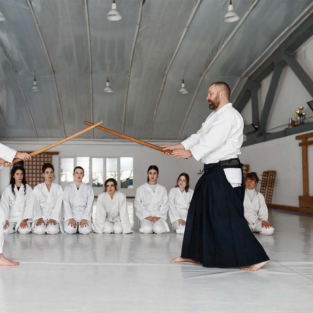 Academy Martial Arts Schools