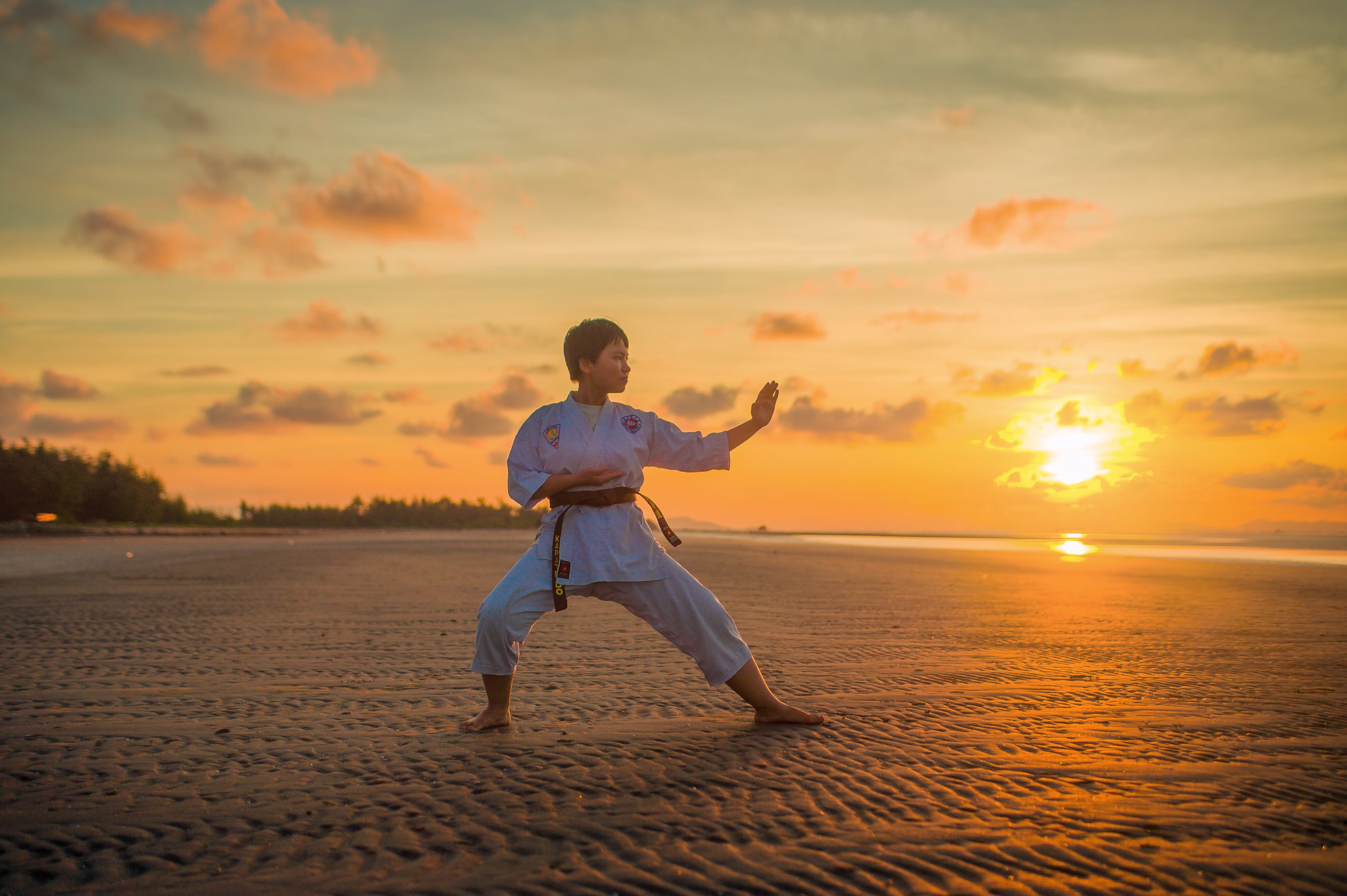 Martial Arts Class Management Dashboard Visual