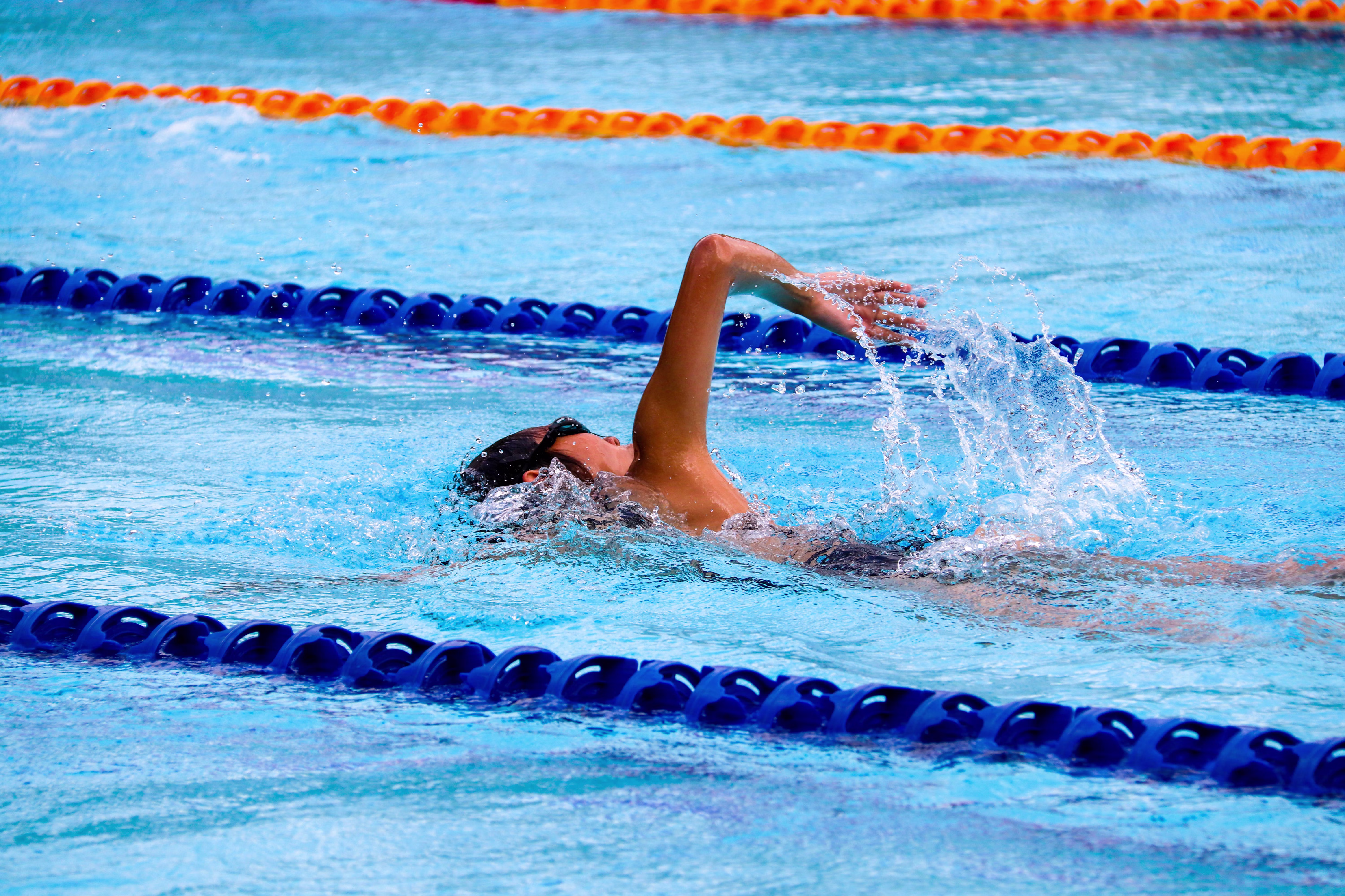 Swimming Class Management Dashboard Visual
